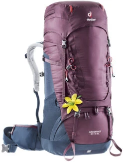 Deuter Aircontact 50+10 SL -Zelte Verkäufe Aircontact50u10SL 5326 s19